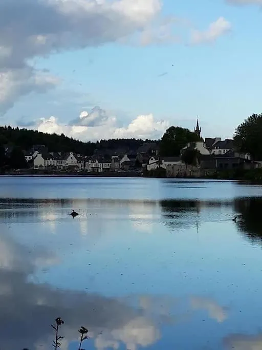 Gite Detente Domaine De Helles -Spa Privatif Et Sauna Poullaouen